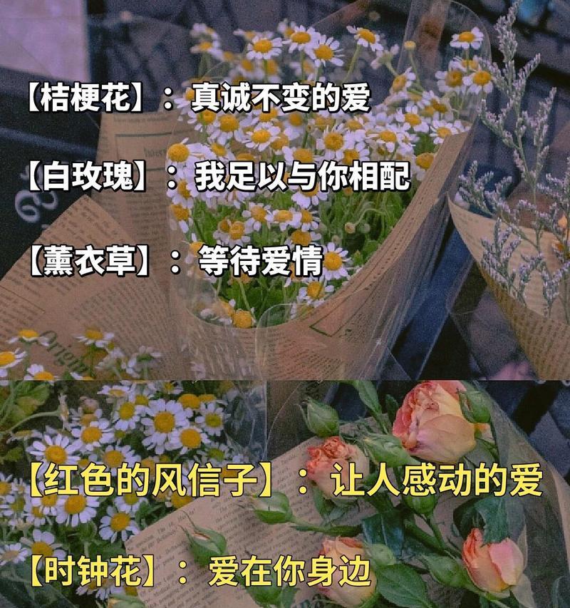 诚恳的爱的花语代表什么？