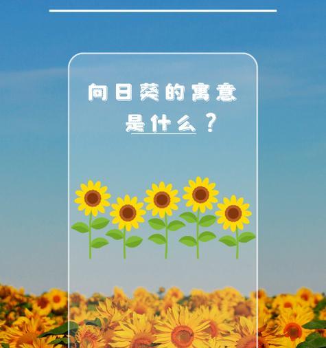 诚恳的爱的花语代表什么？