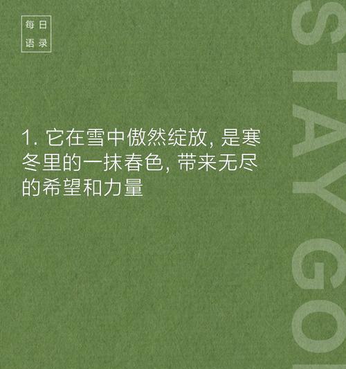 一枝低调的花语有何含义？为何被视为低调？