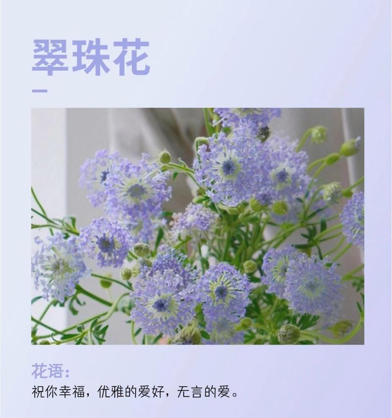 你能猜出这是哪种花的花语吗？