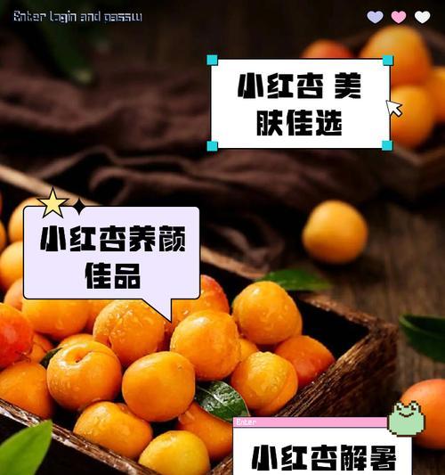 红杏花的品种及其花语有何不同？