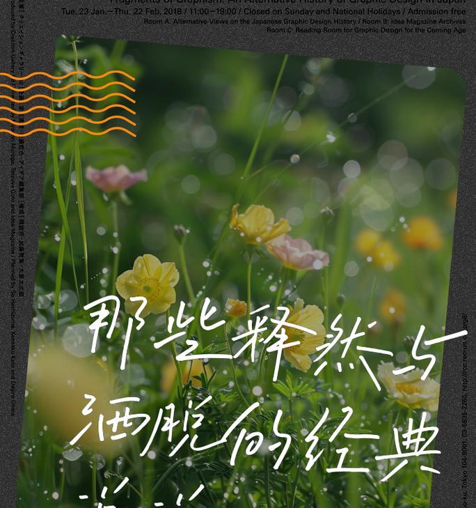 哪种花的花语代表放手释然？