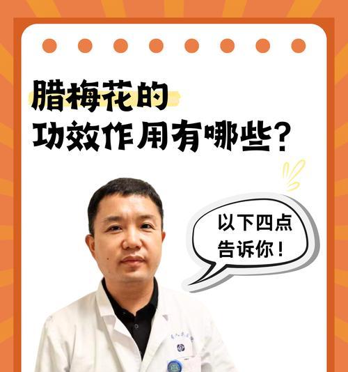 腊梅泡茶，花语中蕴含了什么？