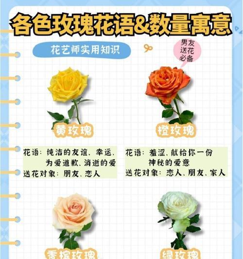最近最流行玫瑰花语是什么？流行玫瑰花语有哪些变化？