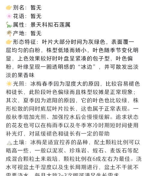 冰城之恋的花语是什么意思？它传递了怎样的情感？