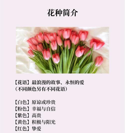 花语晨曦中梨的象征是什么？梨在花语中代表什么？