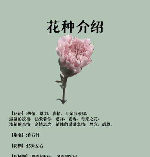 哪种花的花语代表厌烦？含义是什么？