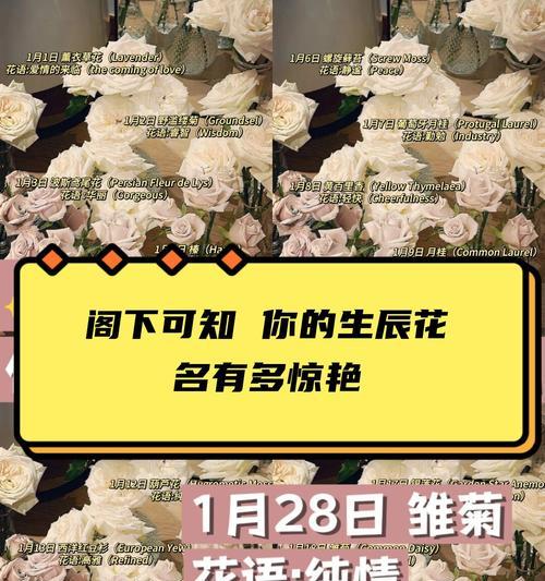 花语的原料是什么花？花语代表了哪些含义？