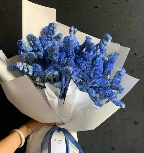 花语我永远不会忘记你是什么花？哪种花代表永恒？