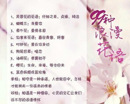 臭老师的小玫瑰花语有何特别之处？