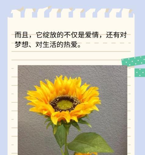 甜酷公主花代表什么？它的花语有何特别之处？