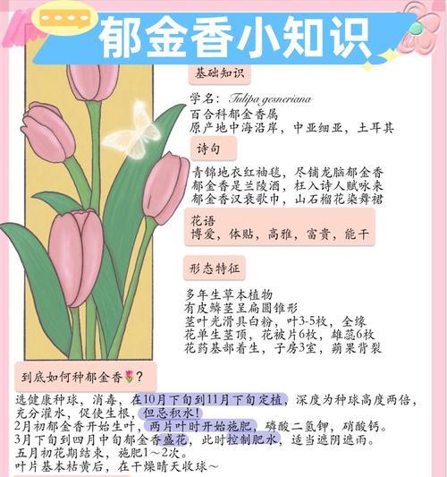 渐变粉红掌的花语是什么？它有哪些独特的含义？