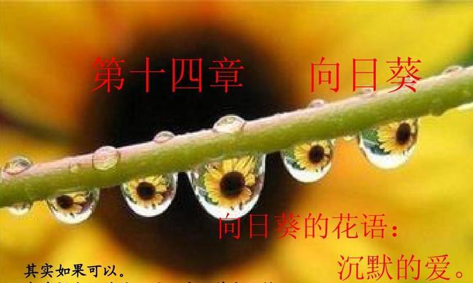 向日葵的花语有哪些？它传达了怎样的信息？