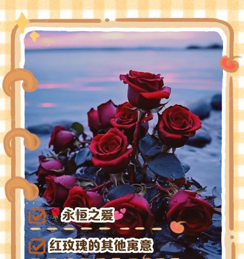 玫瑰花21朵的意义是什么？21朵玫瑰象征着什么？