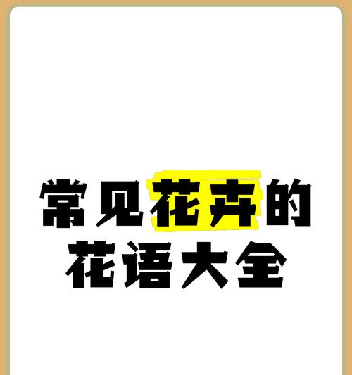 网络花语有哪些新趋势？如何跟上花语流行？