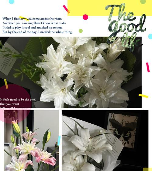 网络花语有哪些新趋势？如何跟上花语流行？