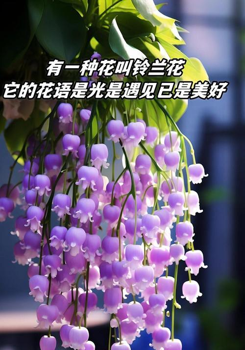 送女生什么花最合适？每种花的花语是什么？