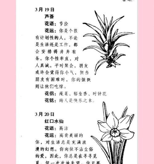 花语姐姐这个称呼代表了什么？它在花语中有什么含义？