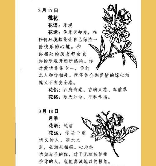 花语姐姐这个称呼代表了什么？它在花语中有什么含义？