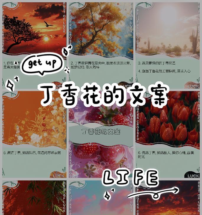 日本紫丁香的花语是什么？紫丁香花在花语中有哪些含义？