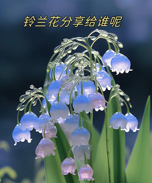 暖风绿树花语代表什么？它传递了怎样的情感信息？