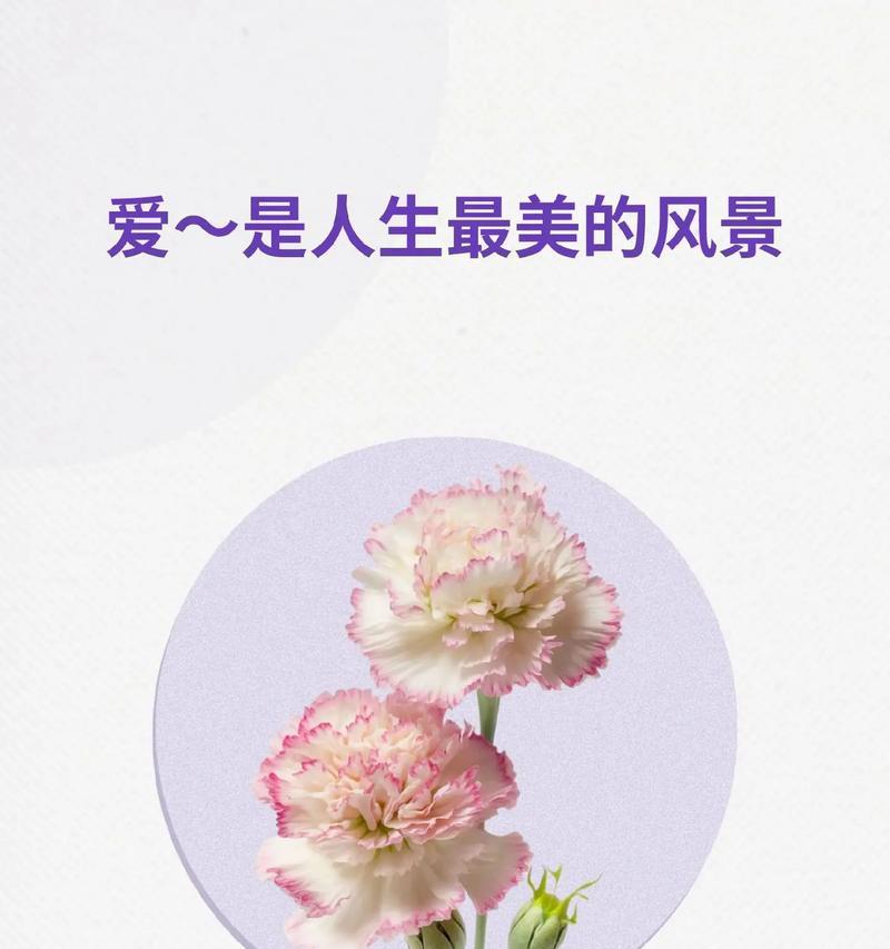 暖风绿树花语代表什么？它传递了怎样的情感信息？
