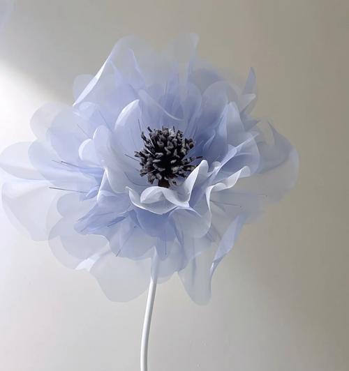 谁能够理解这个道具所代表的花语？