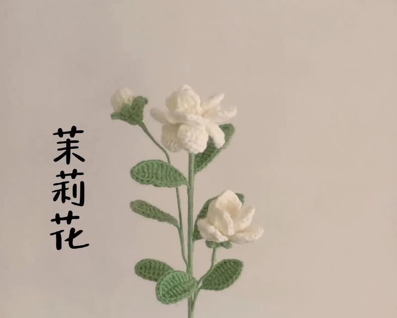 6枝茉莉花的花语是什么？它有何吉祥寓意？