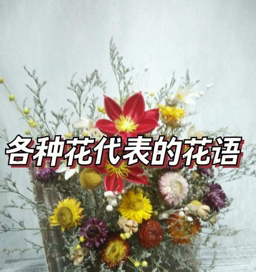 哪种花代表国际花语中的真实？
