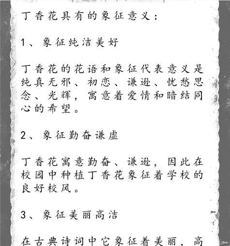 哪种花代表国际花语中的真实？