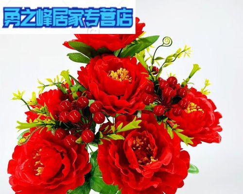 假花红牡丹花语是什么花？代表什么意义？