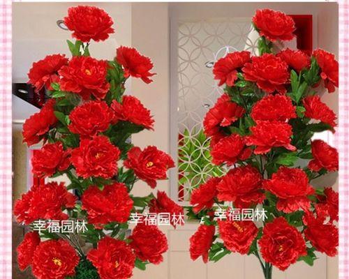假花红牡丹花语是什么花？代表什么意义？