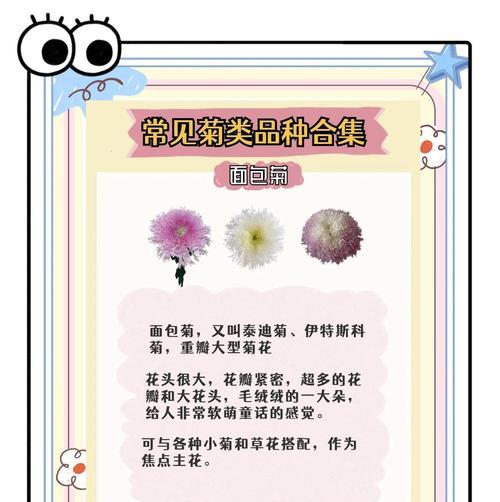 菊花的花语和花期有何特别之处？它通常用来表达什么？