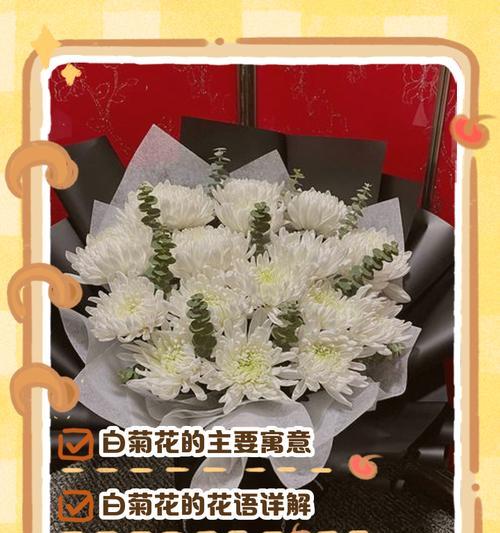 菊花的花语和花期有何特别之处？它通常用来表达什么？