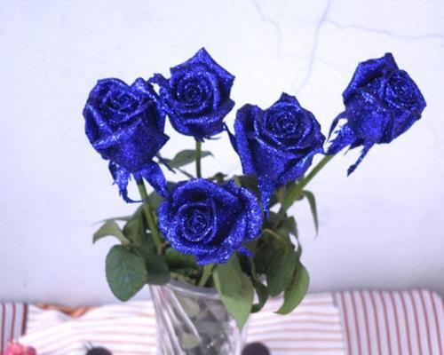 蓝色玫瑰花作为礼物有何含义？送蓝色玫瑰花最合适的是什么？