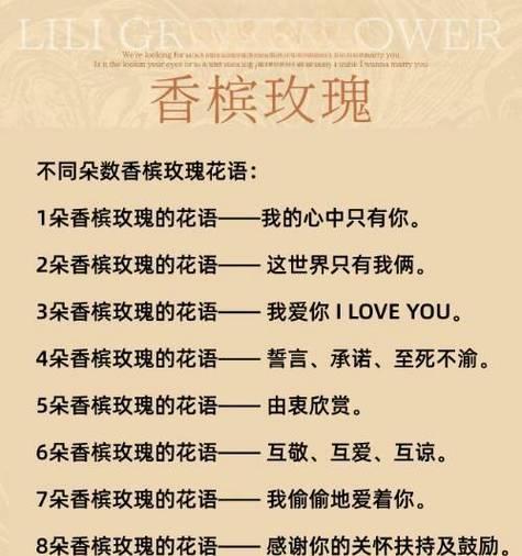 照顾自己的花语是什么意思？它代表了什么？