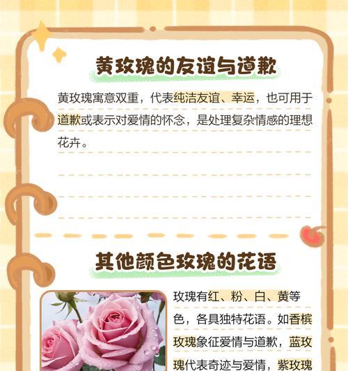 三朵玫瑰花的花语是什么？它传递了怎样的情感信息？