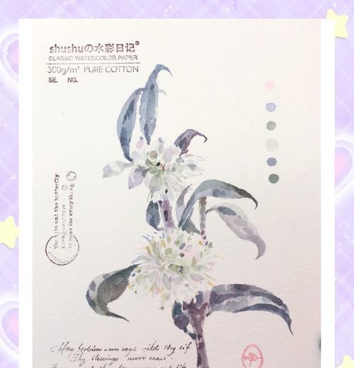 叶子在花语中通常象征着什么？