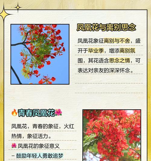 摘红花的花语有哪些含义？