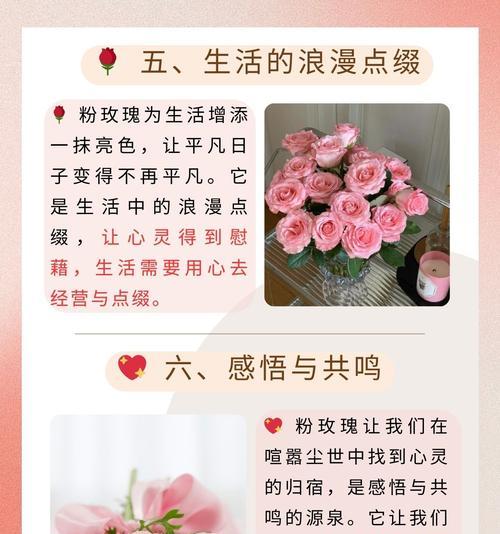 追求某人时送什么花合适？花语表达了怎样的情感？