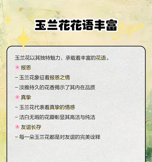 玫瑰花和玉兰的花语是什么？这两种花搭配在一起代表什么？