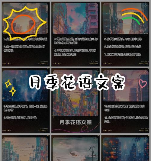 月季花语背后的故事是什么？