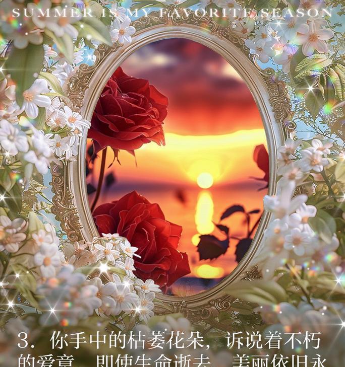 枯树开花的花语代表什么含义？