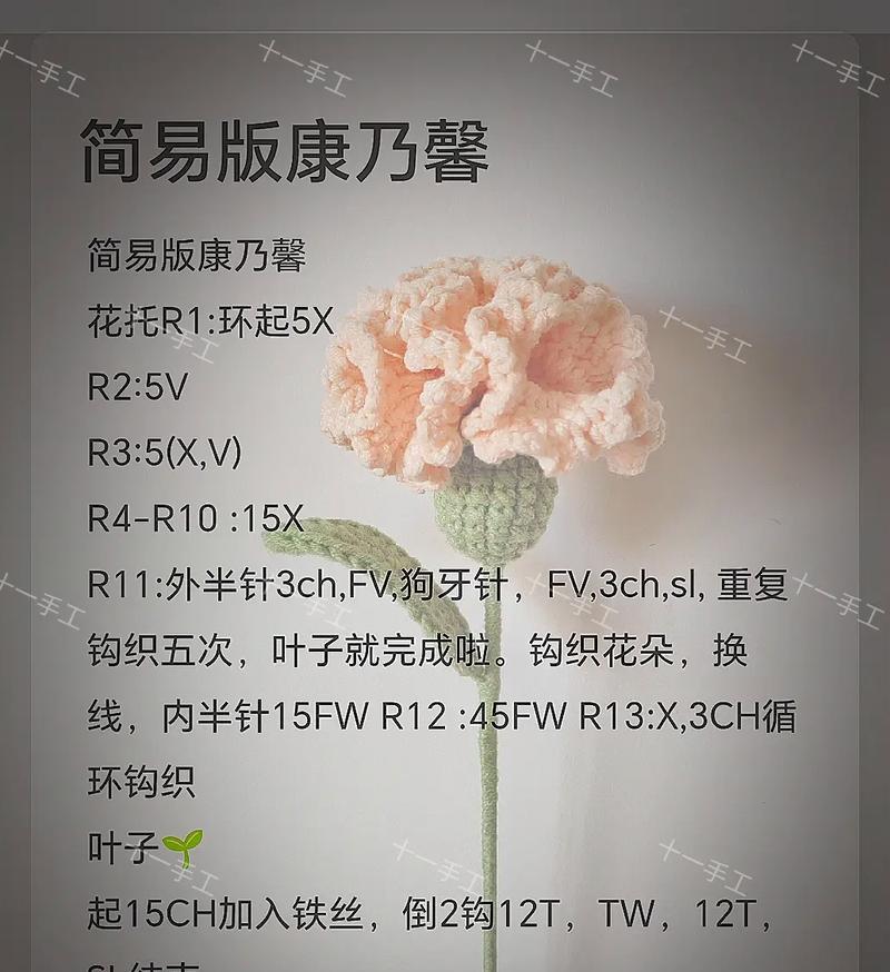 玫瑰红康乃馨的花语是什么？寓意有何特别？