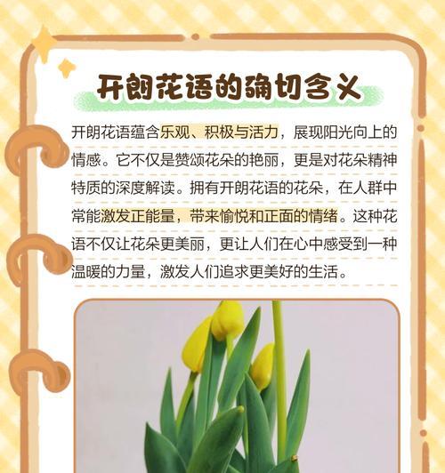 卖花配上花语是什么？如何选择合适的花语来搭配鲜花？