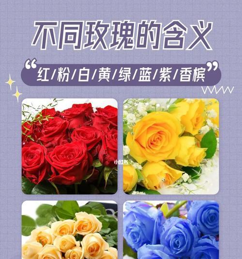 哪些花的花语不被认为是浪漫的？它们代表了什么？