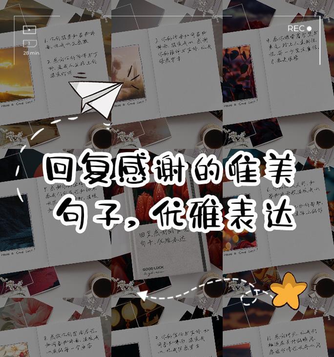感谢支持的花语通常表达什么？