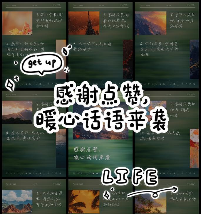 感谢支持的花语通常表达什么？