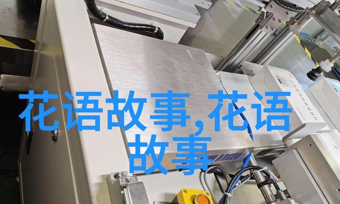 关于交换的花语是什么意思？它代表了什么？