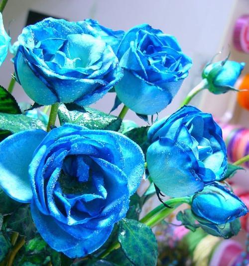 蓝玫瑰作为水果的花语和寓意是什么？蓝玫瑰水果有何特别含义？